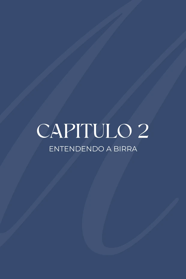 Abertura do capítulo 2 do ebook